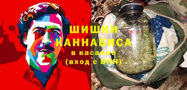 молекула духа Алзамай